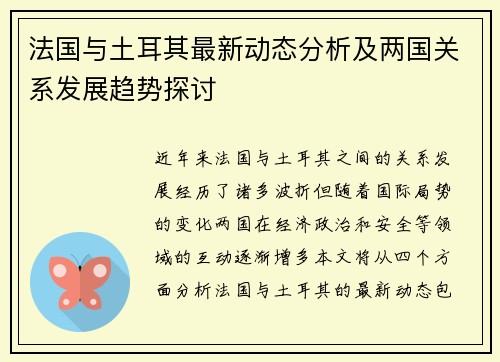 法国与土耳其最新动态分析及两国关系发展趋势探讨