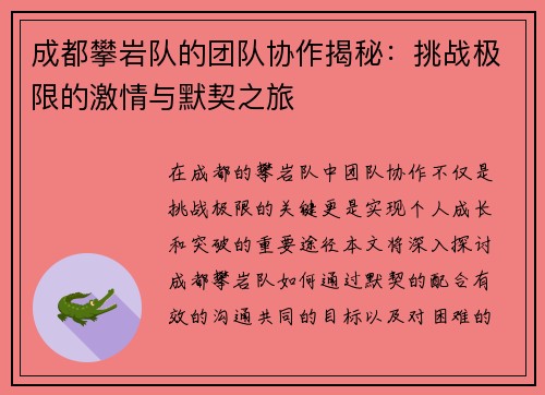 成都攀岩队的团队协作揭秘：挑战极限的激情与默契之旅