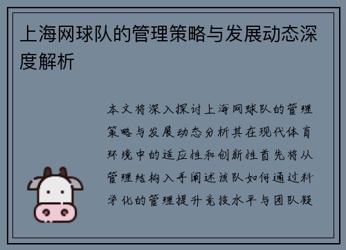 上海网球队的管理策略与发展动态深度解析