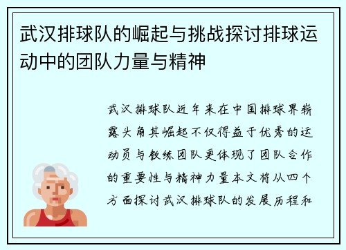 武汉排球队的崛起与挑战探讨排球运动中的团队力量与精神