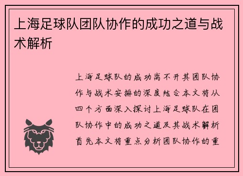 上海足球队团队协作的成功之道与战术解析