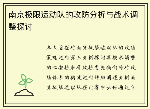 南京极限运动队的攻防分析与战术调整探讨