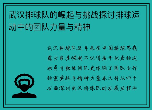 武汉排球队的崛起与挑战探讨排球运动中的团队力量与精神